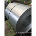 Bobina in acciaio zincato a caldo DX51D Z275